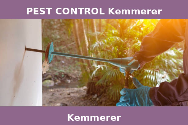 PEST CONTROL Kemmerer